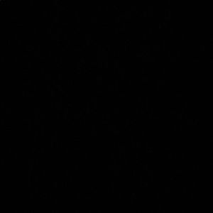 Meet your Posher, Andre